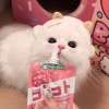 风_79