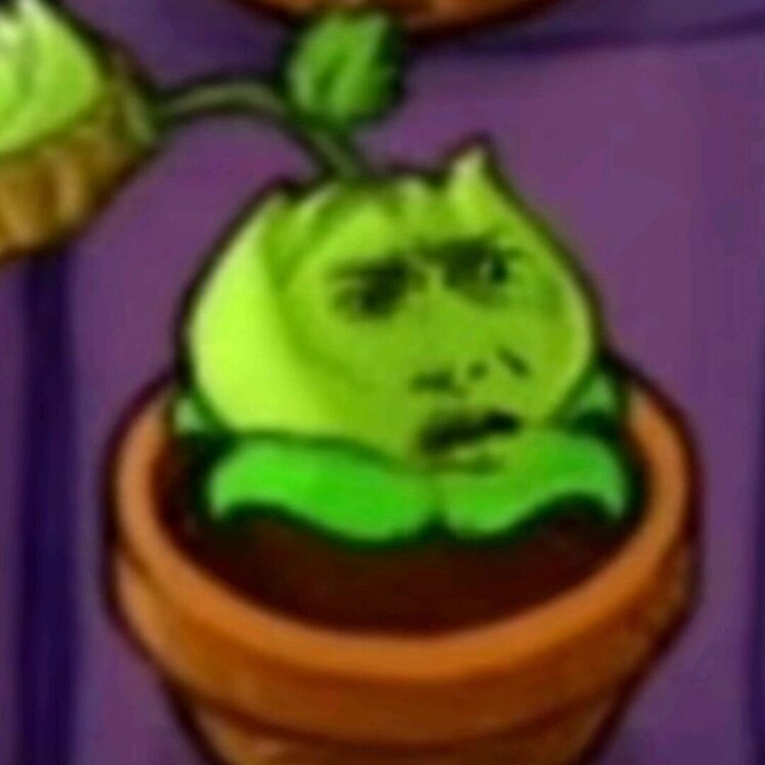 卷心菜投手