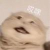 鹑首_523