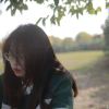 风清云淡