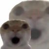 输入
