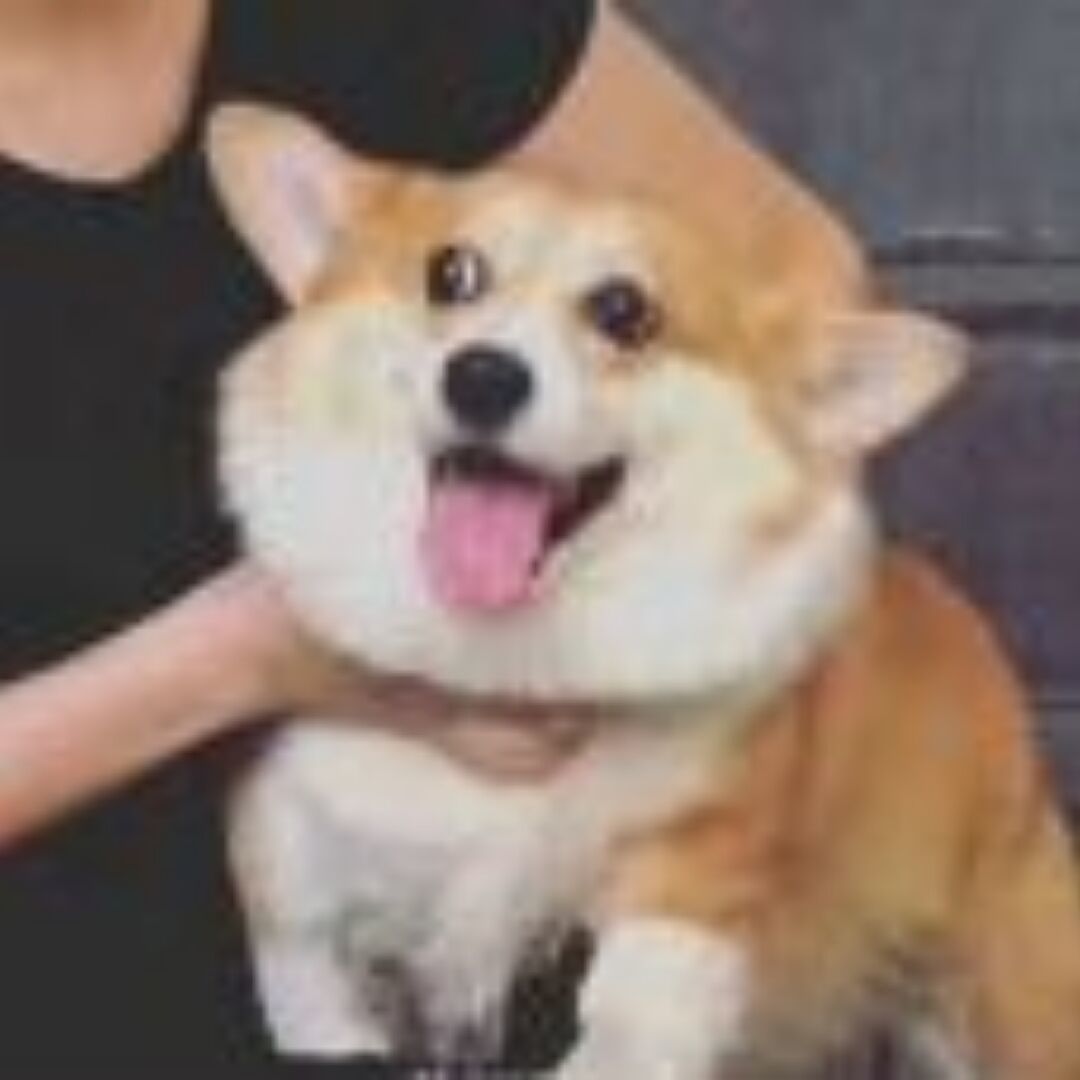 我想死一死