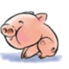 落地生根儿
