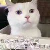 用户19605305的头像-七玩网