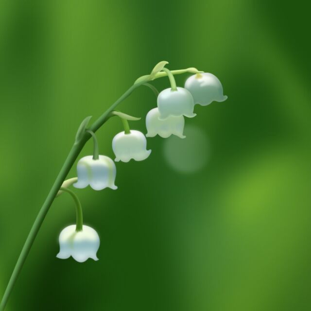 清心