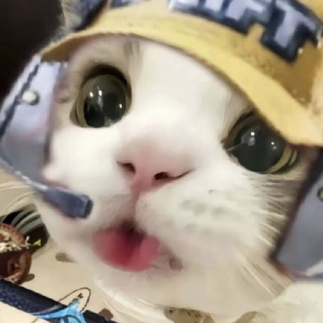 物