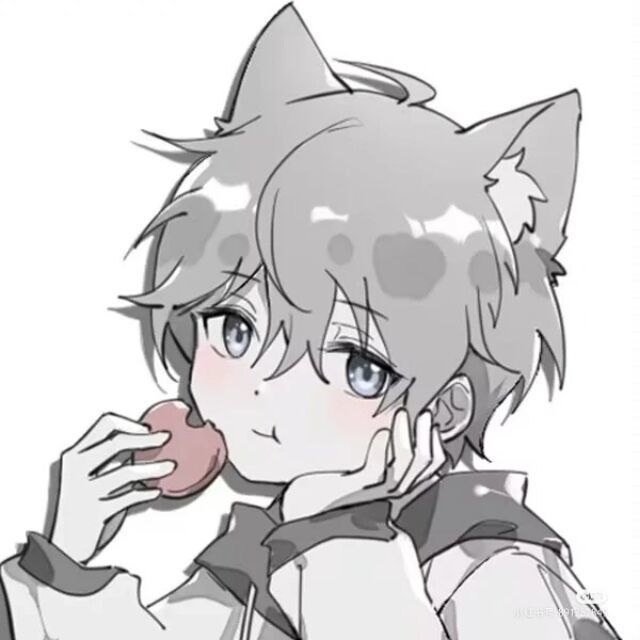 析木_849