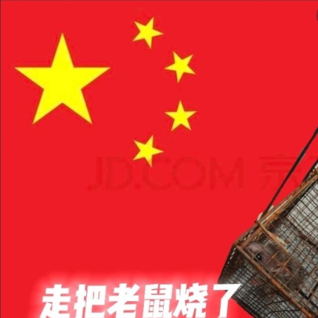 普通中国走个老鼠