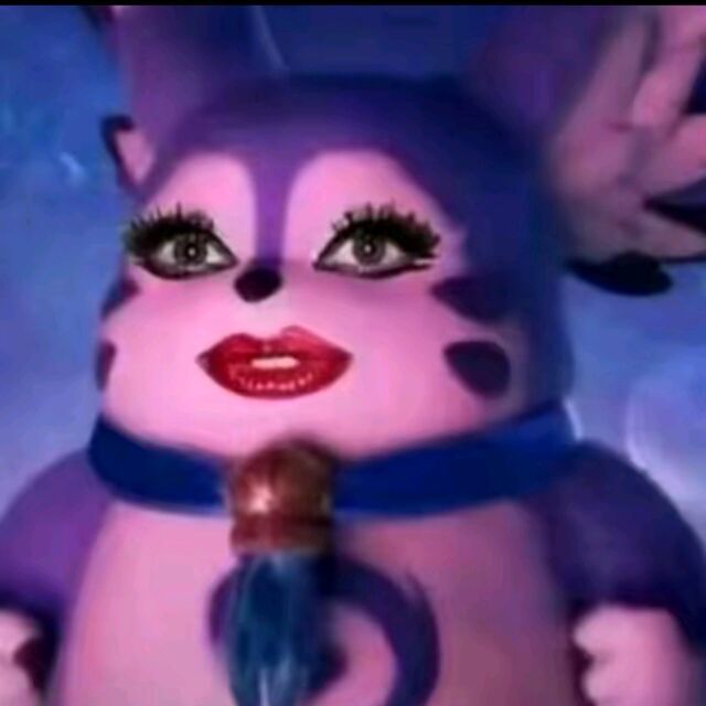 半月猫