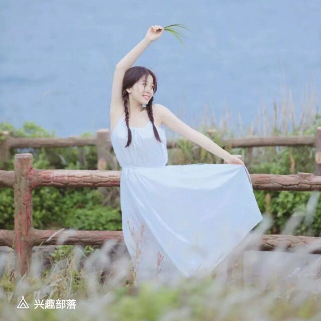 贝壳_436