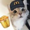 我去杀猪了︀