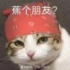 般若波羅心經