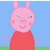小猪佩奇7878