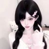 彗的一生