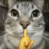 小一一大王