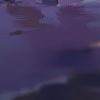awahzx的头像-魔酷网