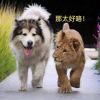 用户_2678