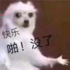 秃瓢