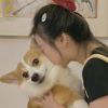 不軌??
