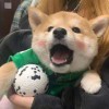 夢悔留空