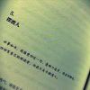 苦丁茶