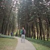 向李白借騷