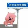 我愛海,更愛浪
