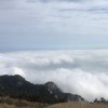 緗訢筷楽