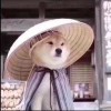 無色幕の夏