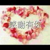 蘿莉社工作室