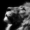 Strong