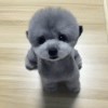 一點點的、愛