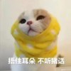 大魚??