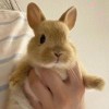 夏至。