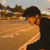 我昨天的梦里又看见了你