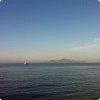 陌上piao尘