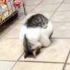 山楂不渣