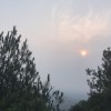 https://thirdqq.qlogo.cn/qqapp/101260148/348629C327C211E2F2FFCD9628343967/100