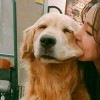https://thirdqq.qlogo.cn/qqapp/101260148/4AA802010E8FF4E1E95B4728B0EE9FE1/100