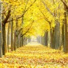 https://thirdqq.qlogo.cn/qqapp/101260148/69AA6EE4B2ADD286322C7B2E85D7C04A/100
