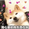 https://thirdqq.qlogo.cn/qqapp/101260148/AB905E8ACEE7C53404829024BDB4721A/100