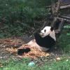 https://thirdqq.qlogo.cn/qqapp/101260148/AECDC9CF732F8E6F76C847005DC9FD54/100