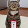 林