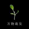 万物萌发视听工作室 的头像