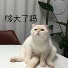 接个吻，开一枪