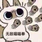 45646