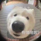 至少丶