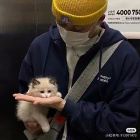 猥琐的神
