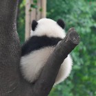 努力努力在努力
