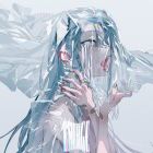 飞鸟与鲸鱼